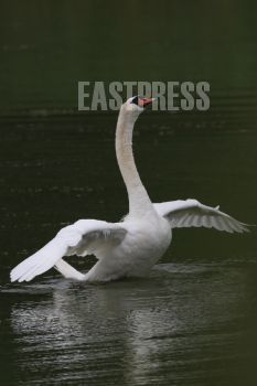 EA349794, Eastpress, Porvoo, Finland
